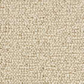 Crucial Trading Jasmine White Lilly