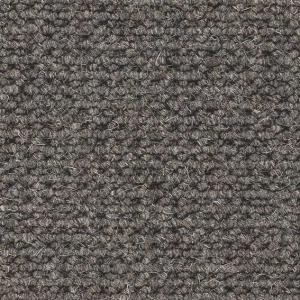 Cavalier Hawk Loop Perregrine