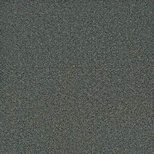 ITC Cannes Moles Paw 150302