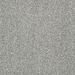 Abingdon Flooring Stainfree Indulgence Silver Dollar