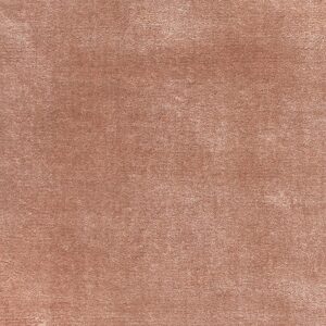 Jacaranda Kheri Rose