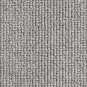 Cavalier Owlet Sooty