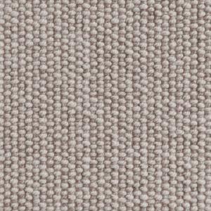 Cavalier Owlet Marsh