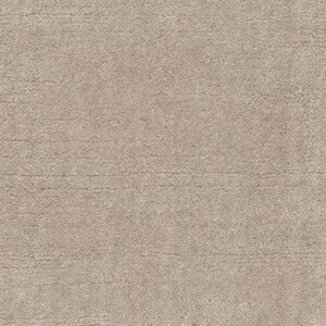 Jacaranda Rajgarh Cloudy Grey