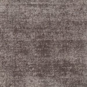 Jacaranda Santushti Storm