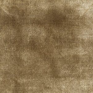 Jacaranda Simla Fern