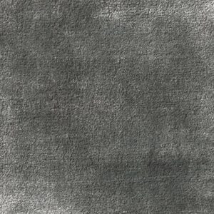 Jacaranda Simla Storm