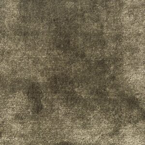 Jacaranda Simla Tapenade