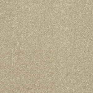 Abingdon Flooring Stainfree Ultra Country Beige