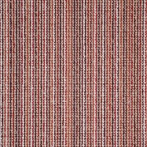 Elements Africa Collection Antelope