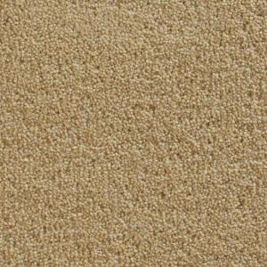 Cavalier Architect Twist Temple Bronze