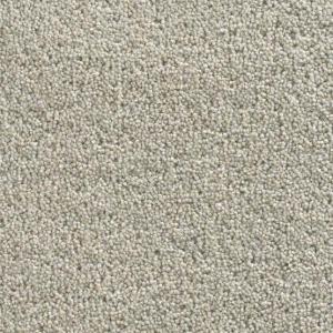 Cavalier Architect Twist Cactus