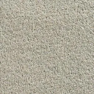 Cavalier Architect Twist Cactus