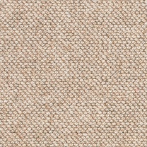 Brockway Beachcomber Dune Barnacle