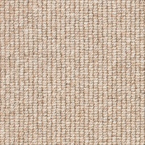 Brockway Beachcomber Strand Barnacle