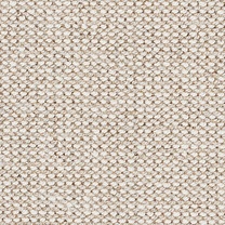 Brockway Beachcomber Bay Ammonite