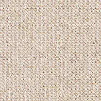 Brockway Beachcomber Bay Coral