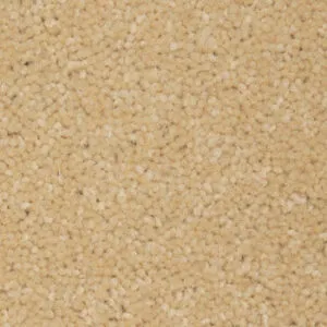 Brintons Bell Twist Desert Sand - 20682