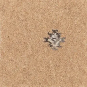 Brintons Purely Natural Marrakesh Kadiz Linen - 8/50353