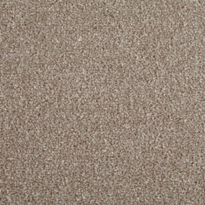 Cormar Primo Choice Cookie