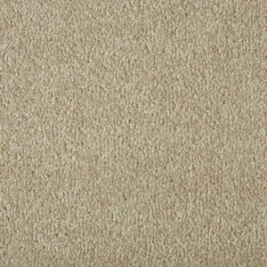 Cormar Primo Plus Putty