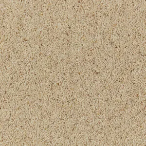 Cormar Wool twist Natural Berber Twist Coconut