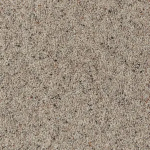 Cormar Wool twist Natural Berber Twist Platinum