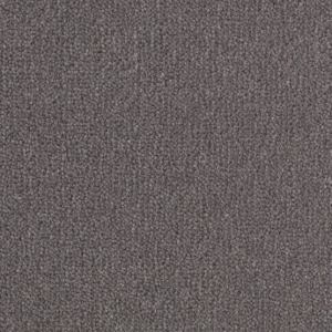 Cavalier Cartouche Velvet Albatross