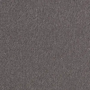 Cavalier Cartouche Velvet Albatross
