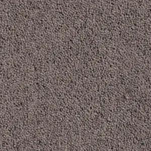 Cavalier Country Collection Parkin