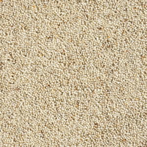 Cavalier Country Collection Biscotti