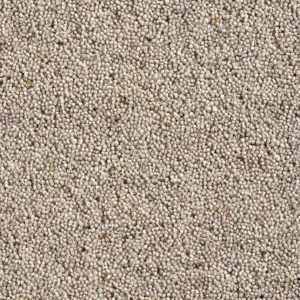 Cavalier Country Collection Hobnob