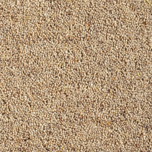 Cavalier Country Collection Shortcake