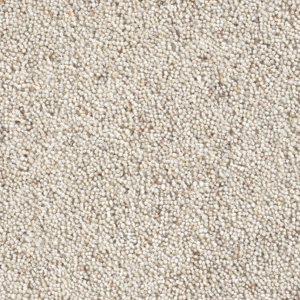 Cavalier Country Collection Sponge