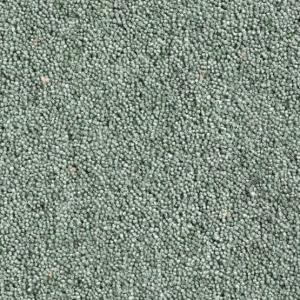 Cavalier Country Collection Matcha