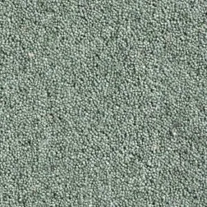 Cavalier Country Collection Matcha