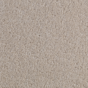 Cavalier Cosmopolitan Cornsilk