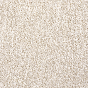 Cavalier Cosmopolitan Dewdrop