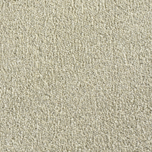 Cavalier Cosmopolitan Euclyptus