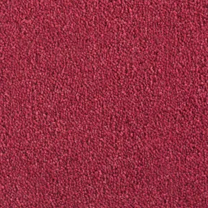 Cavalier Cosmopolitan Ruby