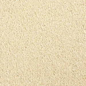 Cavalier Criterion Twist Butterscotch