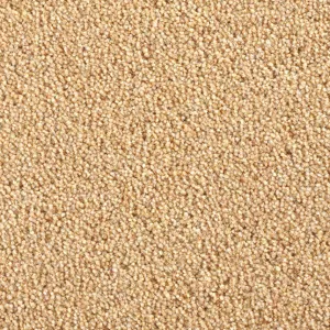 Cavalier Criterion Twist London Brick