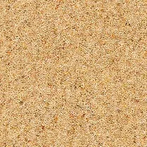 Brockway Dimensions Berbers Chesil Beach