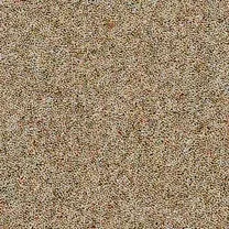 Brockway Dimensions Heathers 40 Camel
