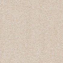 Brockway Dimensions Plain 40 Champagne