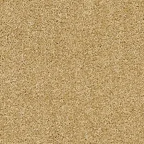 Brockway Dimensions Plain 40 Demerara
