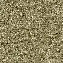 Brockway Dimensions Plain 40 Bergamot