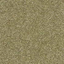 Brockway Dimensions Plain 50 Bergamot