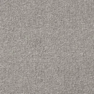 Cavalier Stainless Distinction Kasha