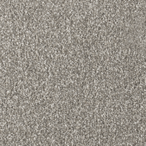 Cavalier Stainless Distinction Palladium